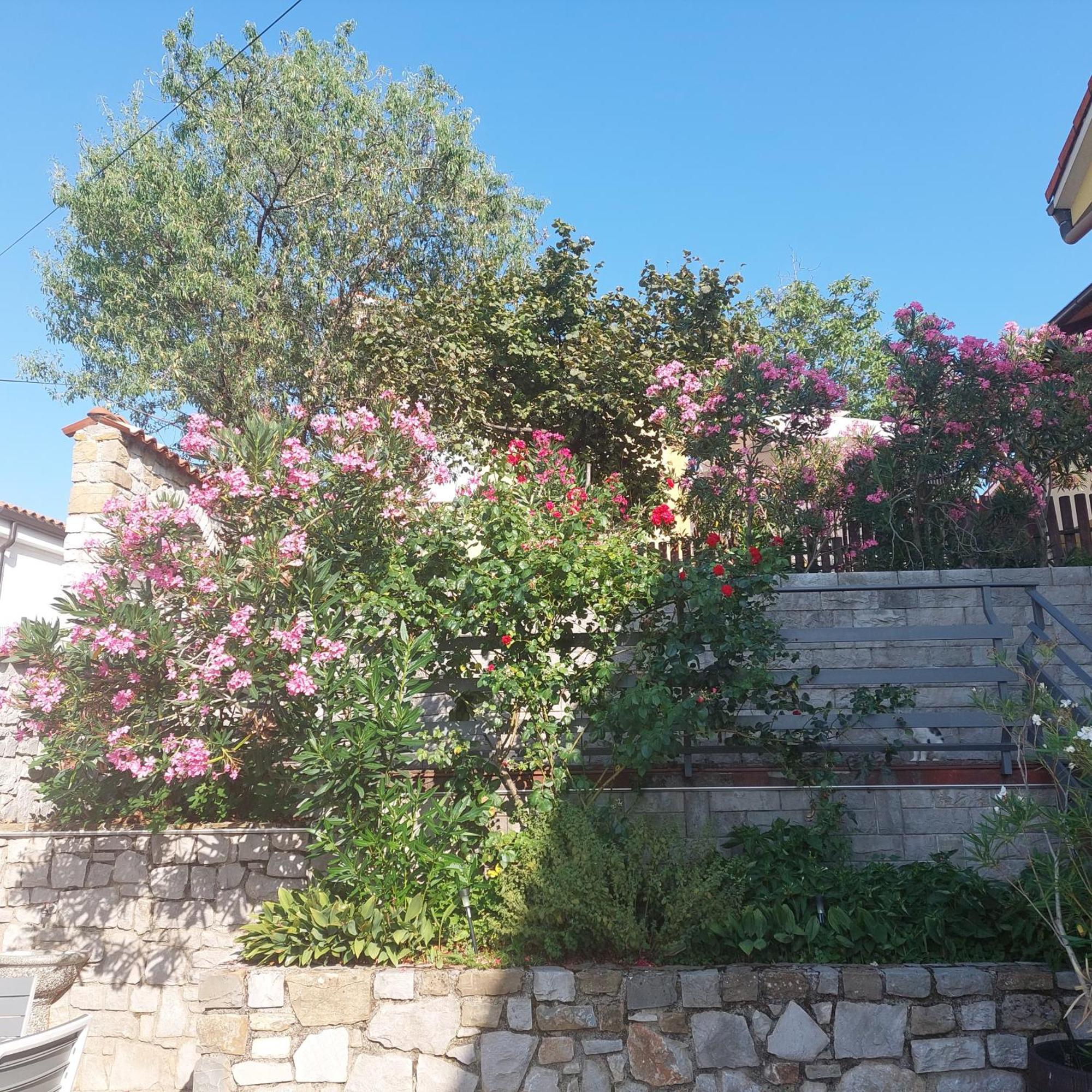 Apartma Nika Pobegi