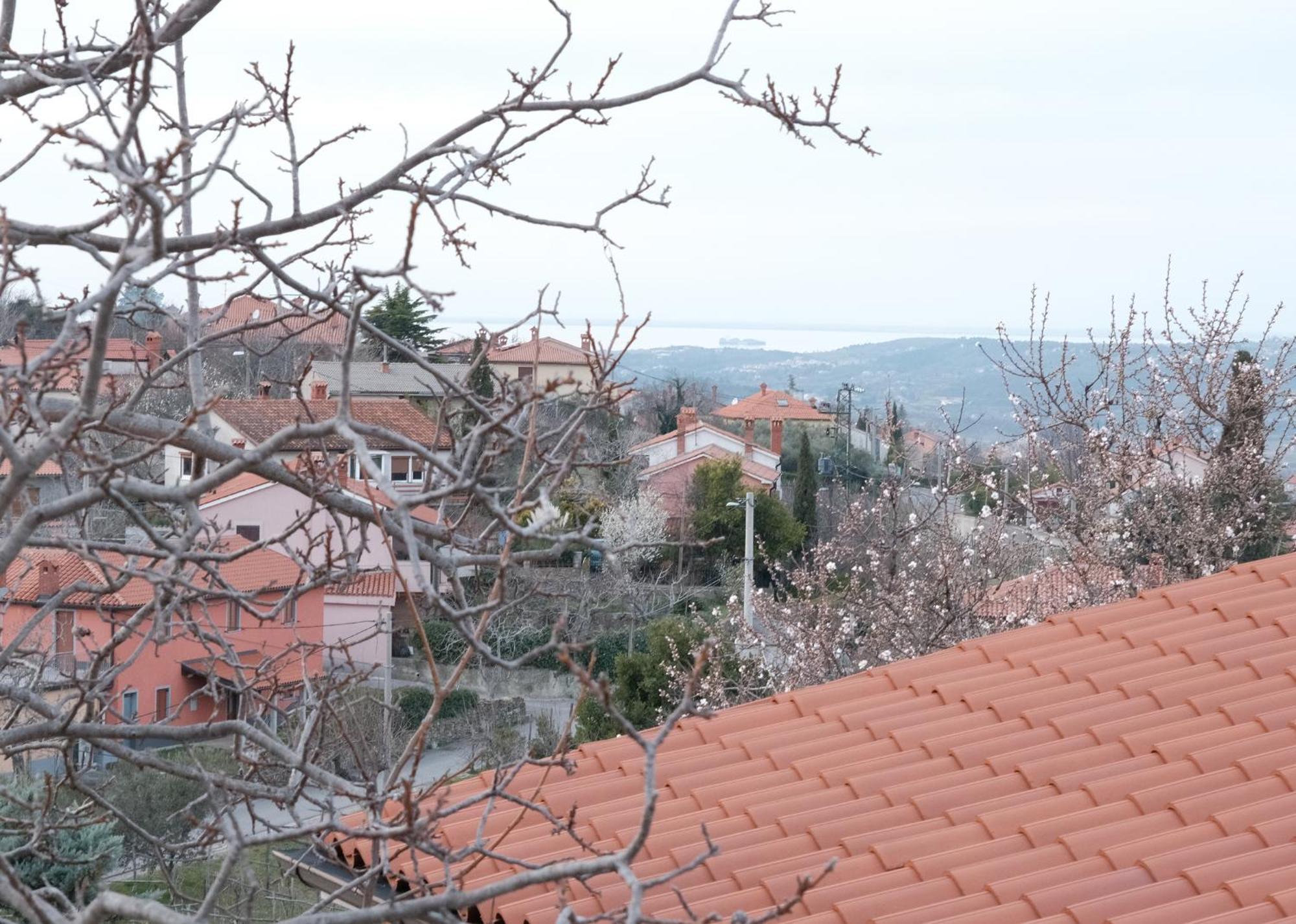 Apartment Apartma Nika